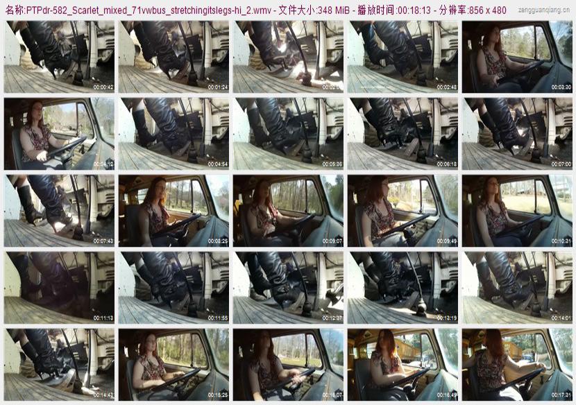 ptpdr-582_Scarlet_mixed_71vwbus_stretchingitslegs